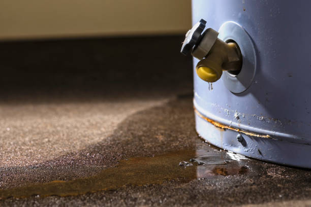 Best Professional water damage repair  in New Albany, MS