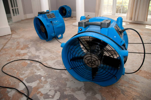 Best Water damage contractors near me  in New Albany, MS