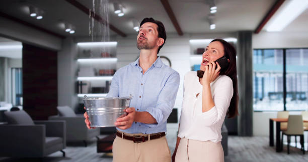 Reliable New Albany, MS Water damage restoration Solutions